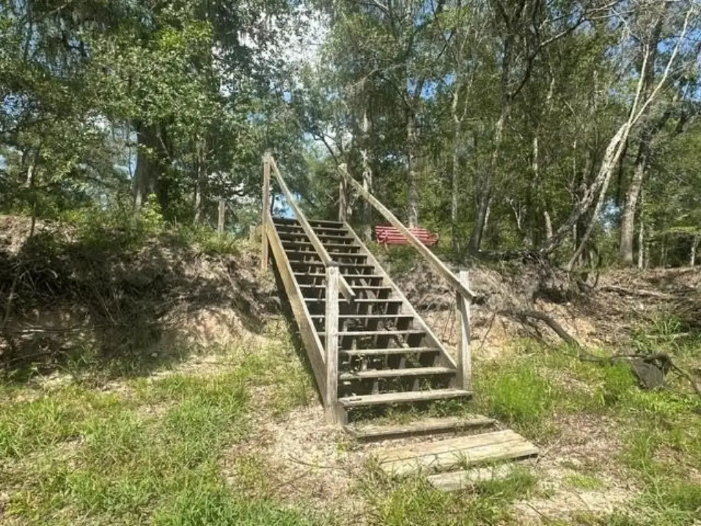 Picture 30