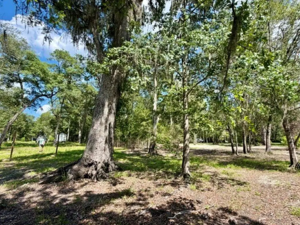 Picture 21