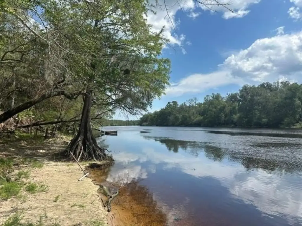 Picture 29