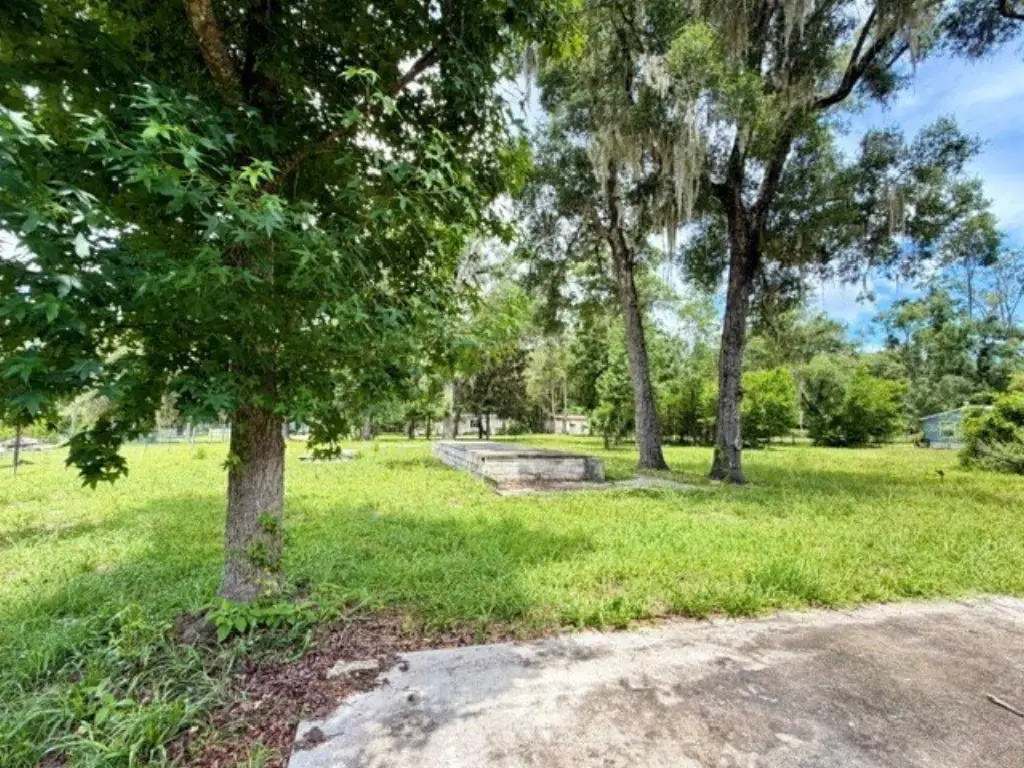Picture 17
