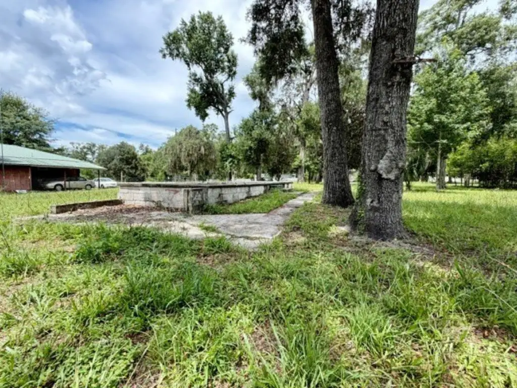 Picture 19