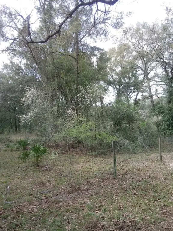 Picture 44