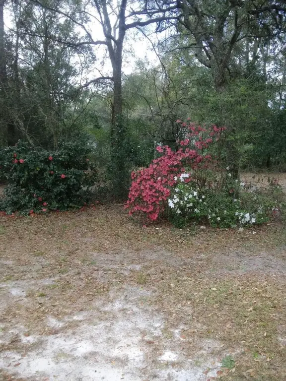 Picture 42