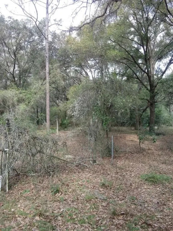 Picture 47