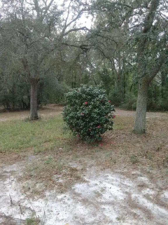 Picture 43