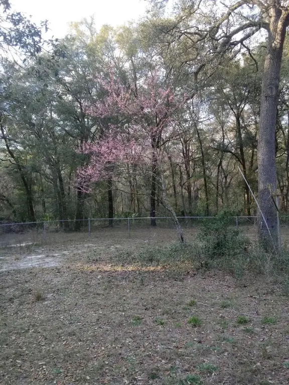 Picture 46