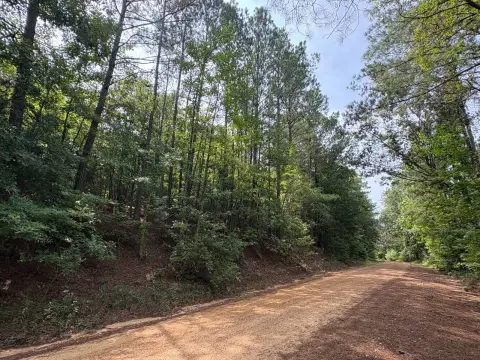 19-Acre Recreational Land Tract