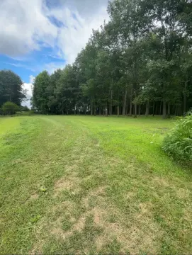 Hunting Land With Cabin