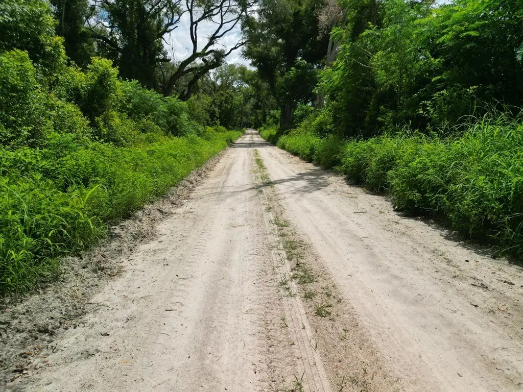 Picture 6