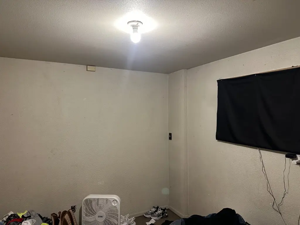 Picture 44