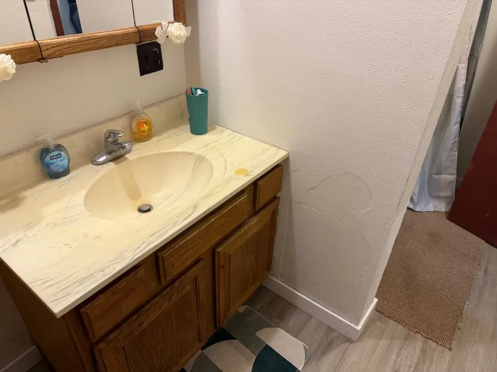 Picture 14