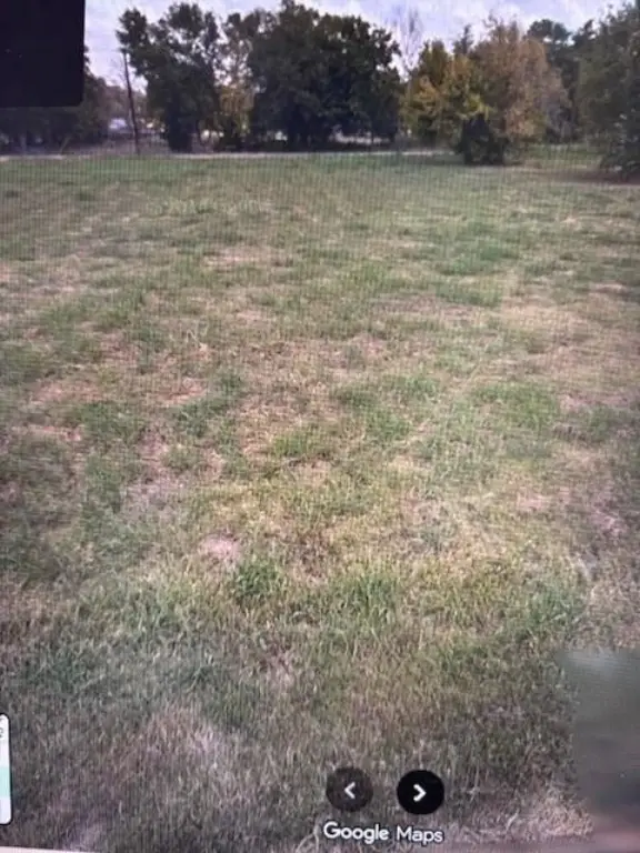 Picture 3