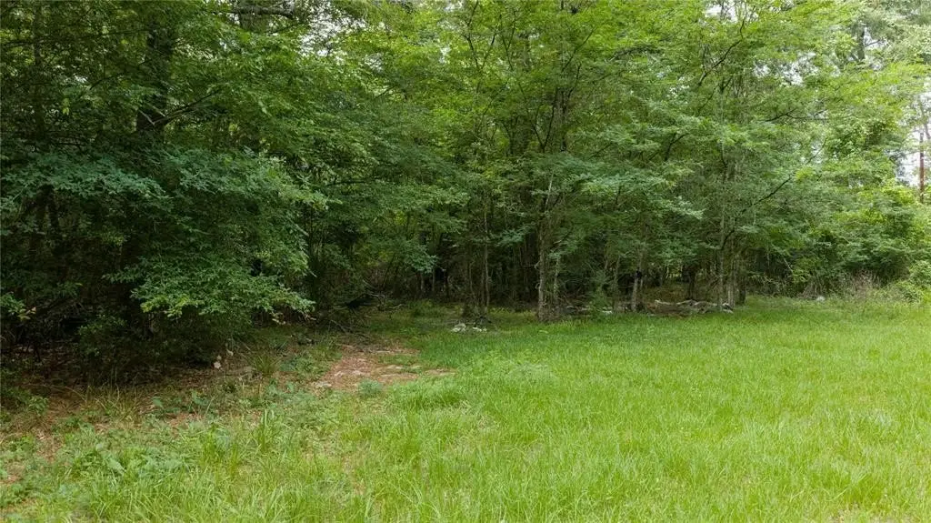 Picture 8