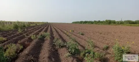 10 Acres in Mercedes, TX