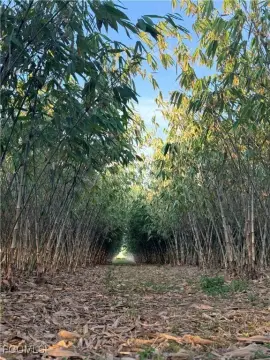 Labelle Bamboo Farm Getaway
