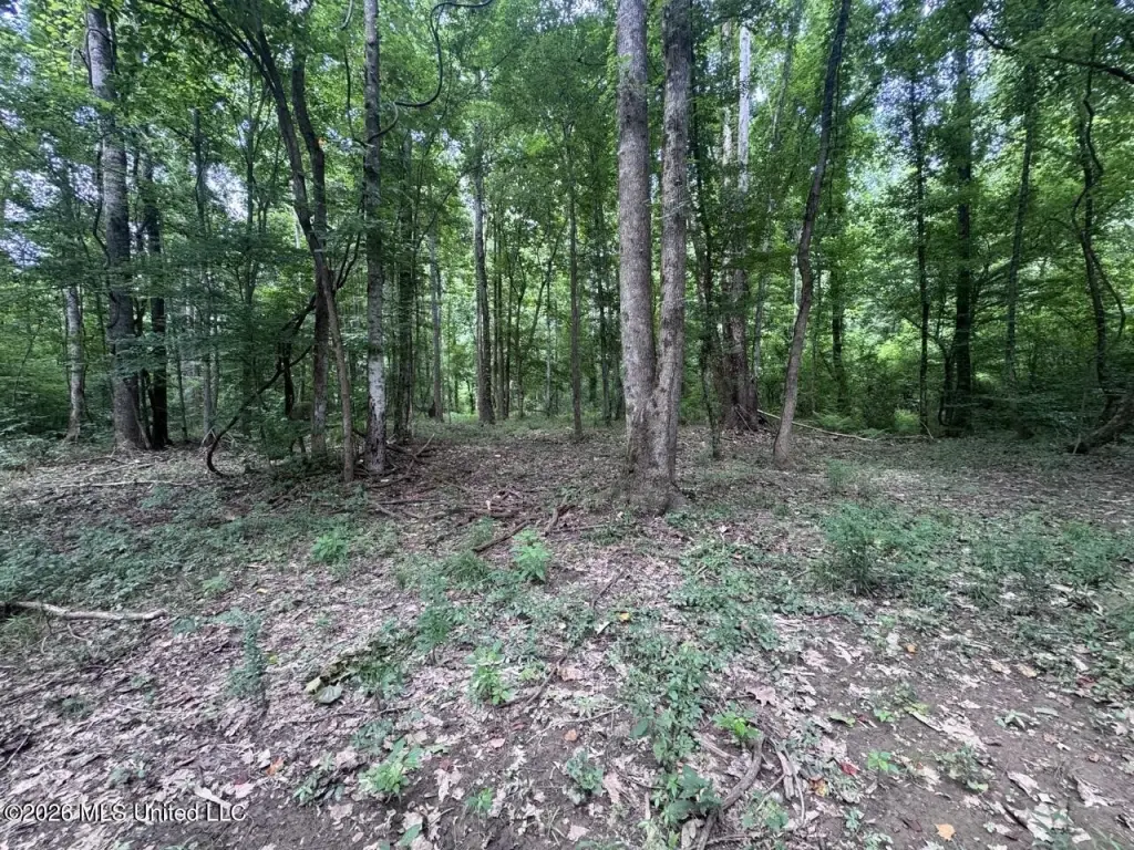Picture 30