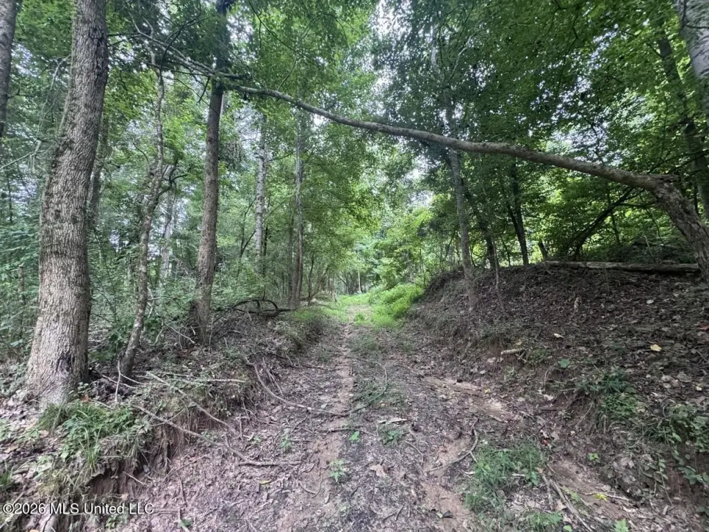 Picture 18