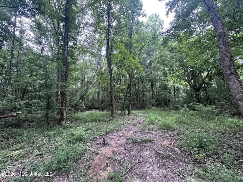 Picture 19