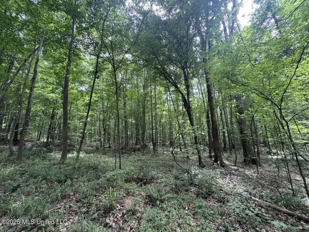 Picture 28