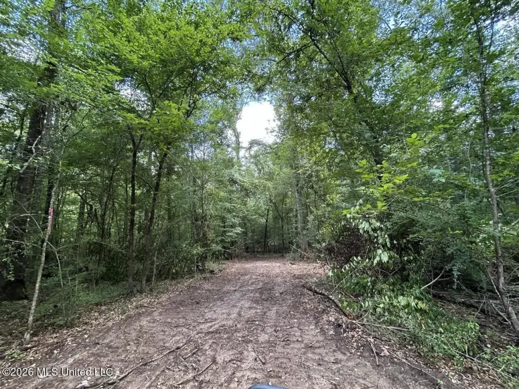 Picture 28