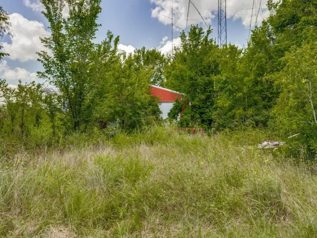 Picture 6