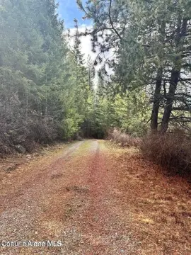 Athol, ID - 10 Acres