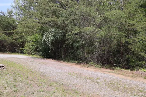 Wooded Lot on Quiet Cul-de-Sac