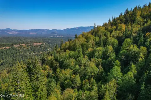 Off-Grid Hunting Land in Idaho