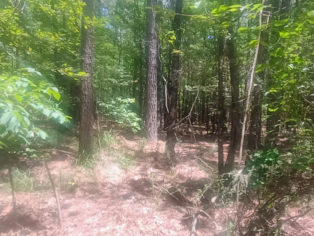 Picture 6