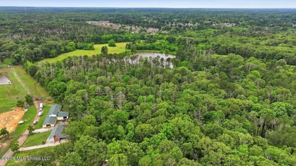 Picture 28