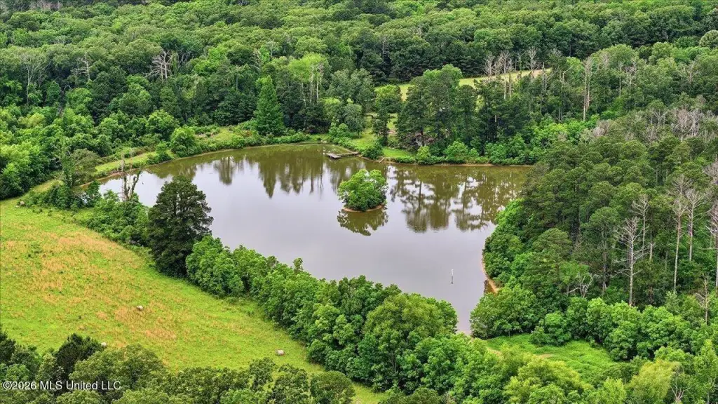 Picture 46