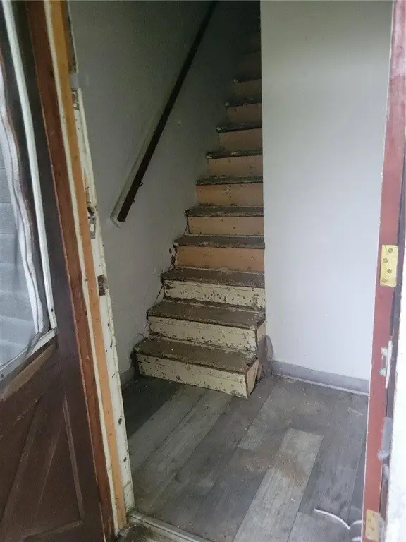 Picture 15