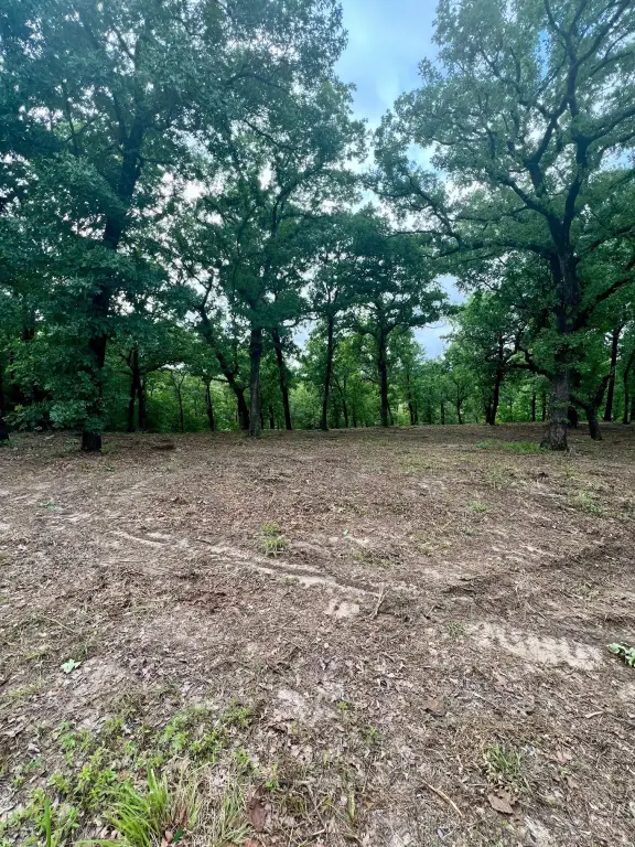 Picture 7