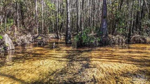 Pace, FL Land Opportunity