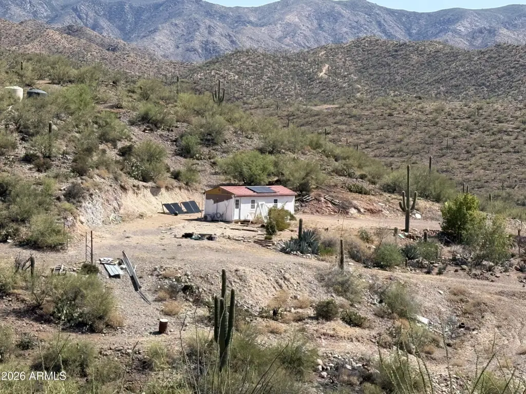 Picture 15