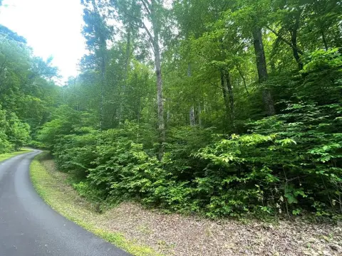 Hayesville NC Wooded Lot