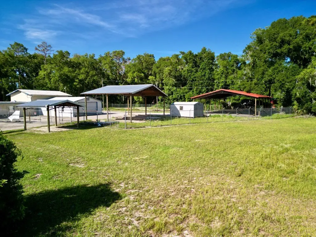 Picture 14