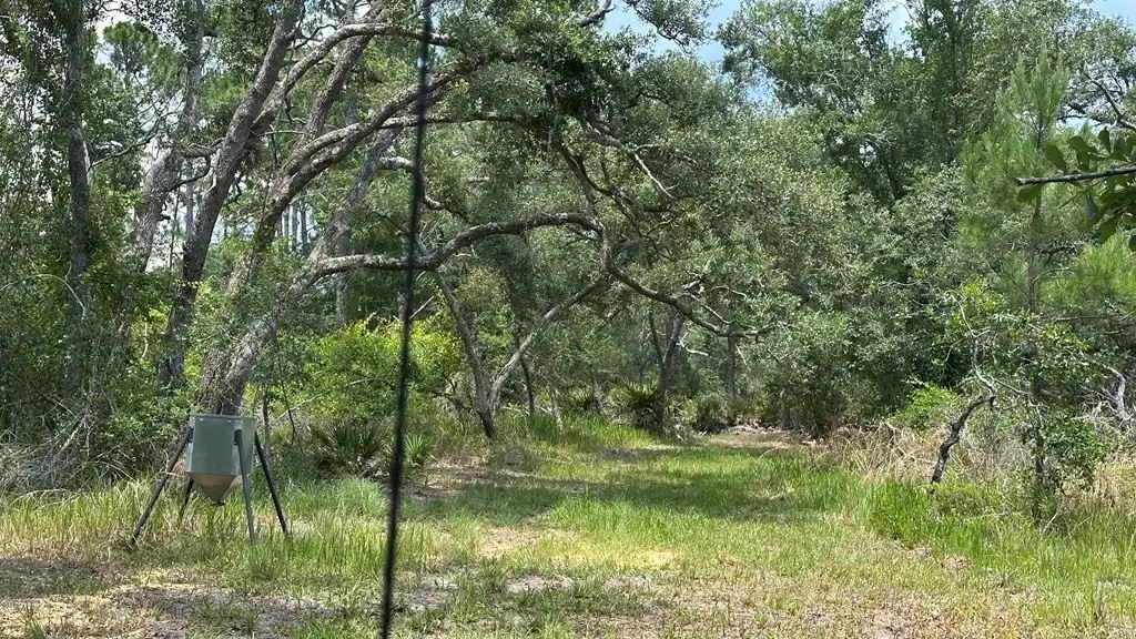 Picture 7