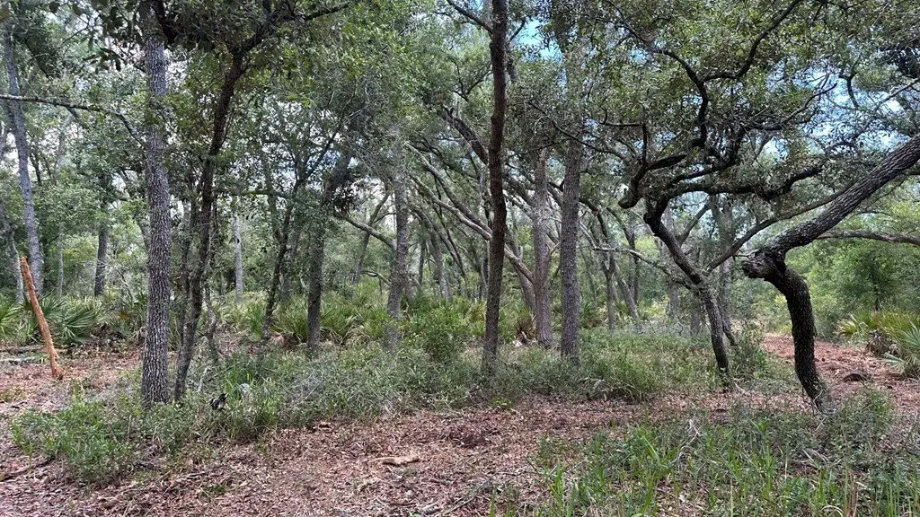Picture 10