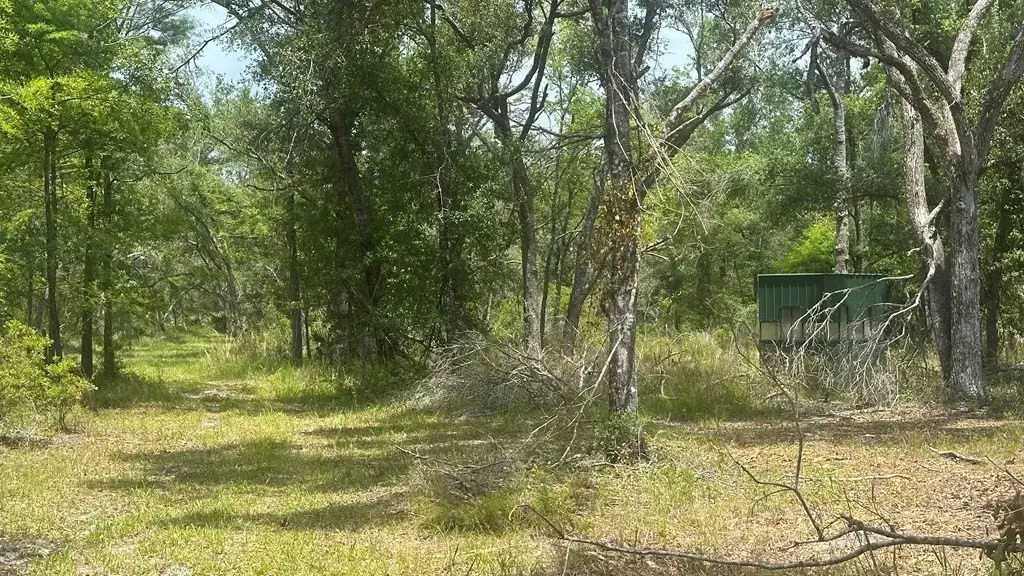 Picture 12