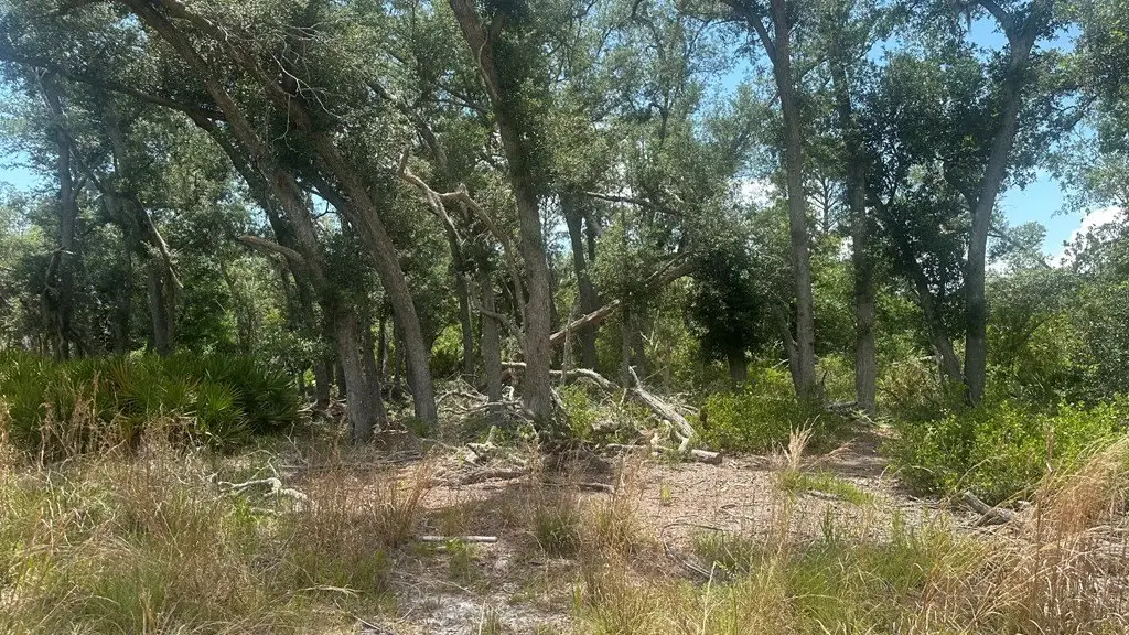 Picture 11