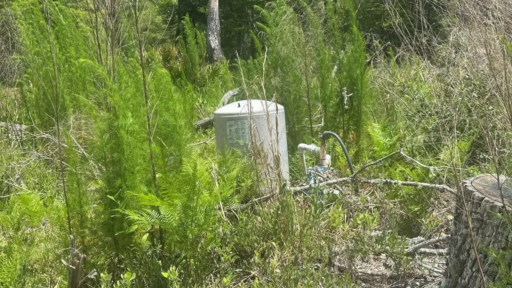 Picture 16