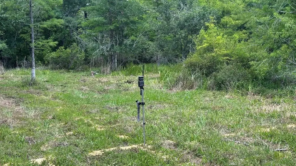 Picture 5