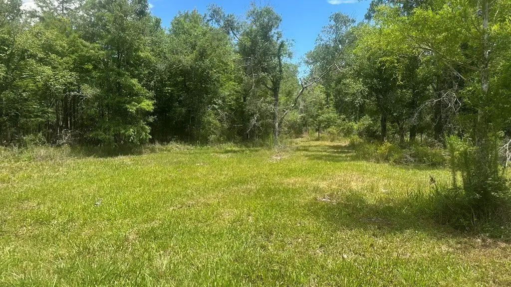 Picture 17