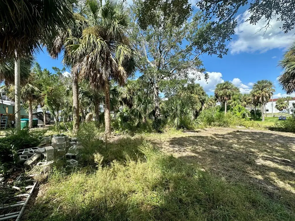 Picture 6