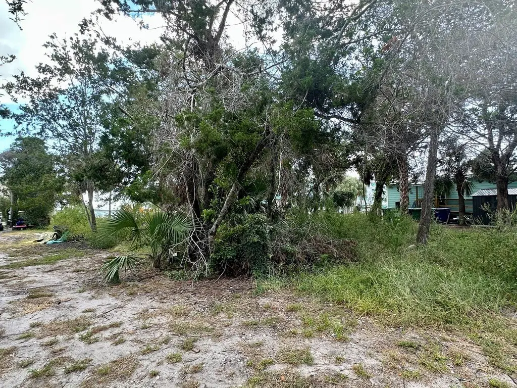 Picture 19