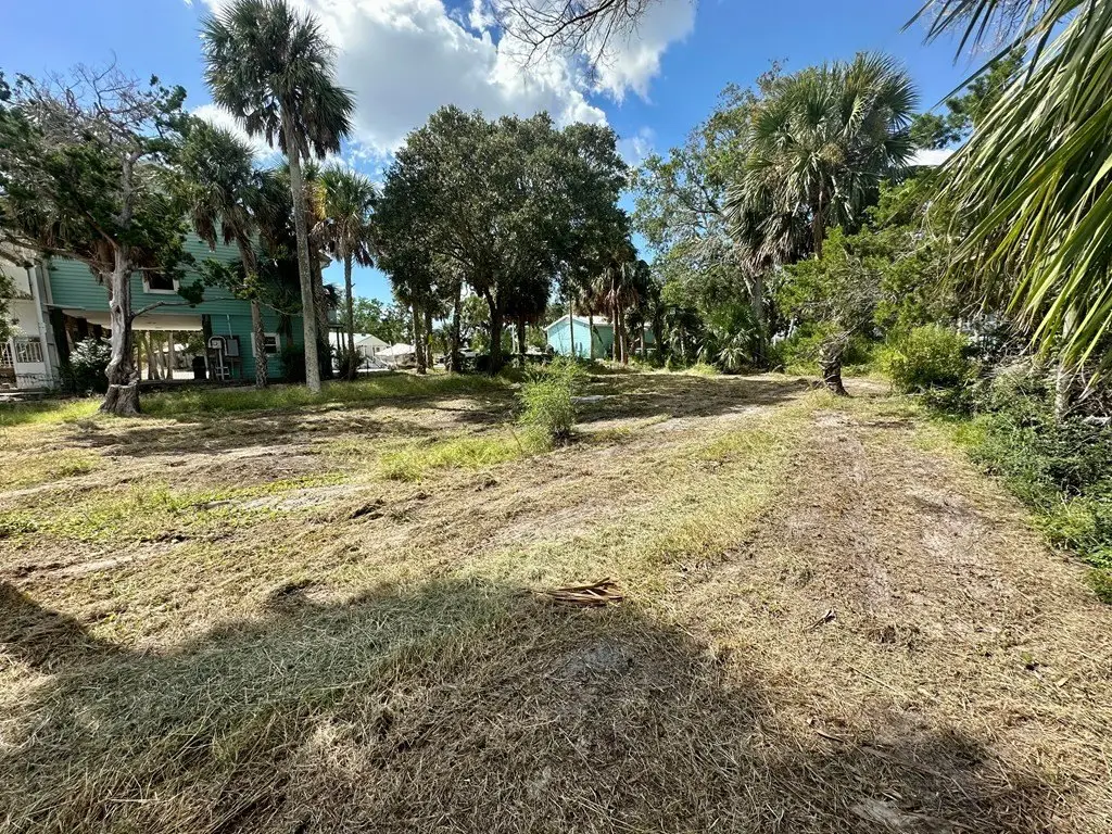 Picture 13