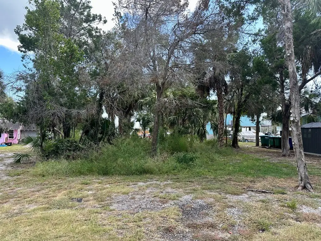 Picture 16