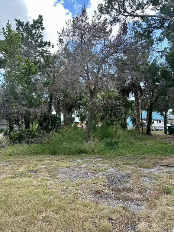 Picture 17