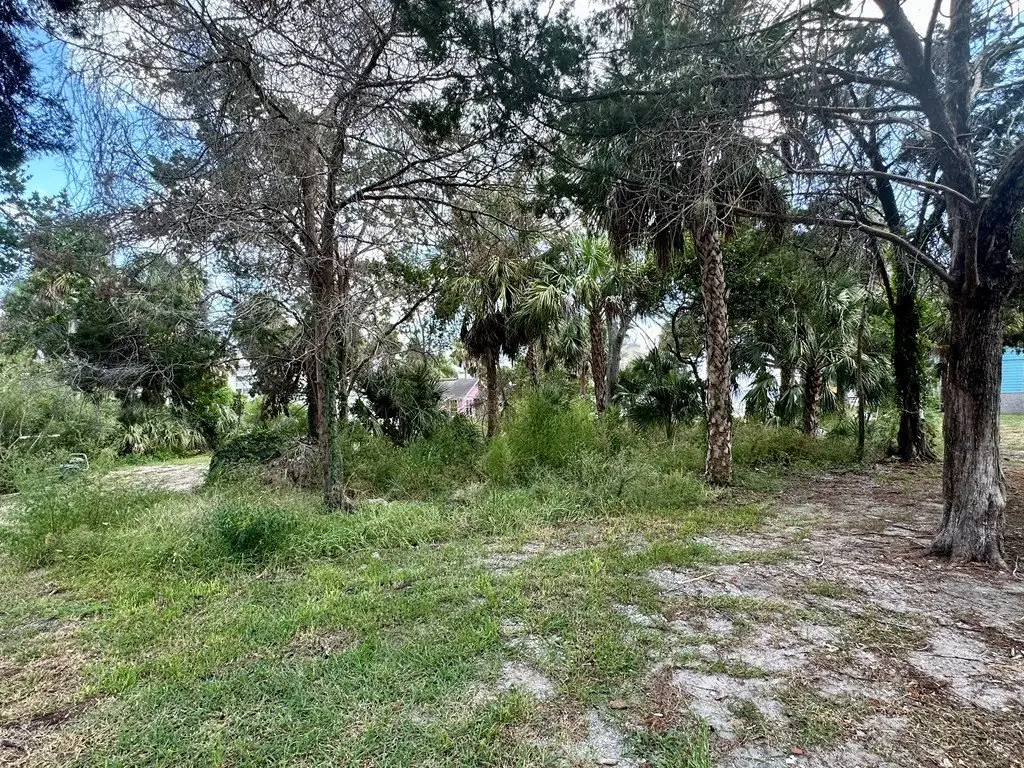 Picture 18